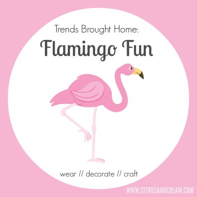 Flamingo Trend