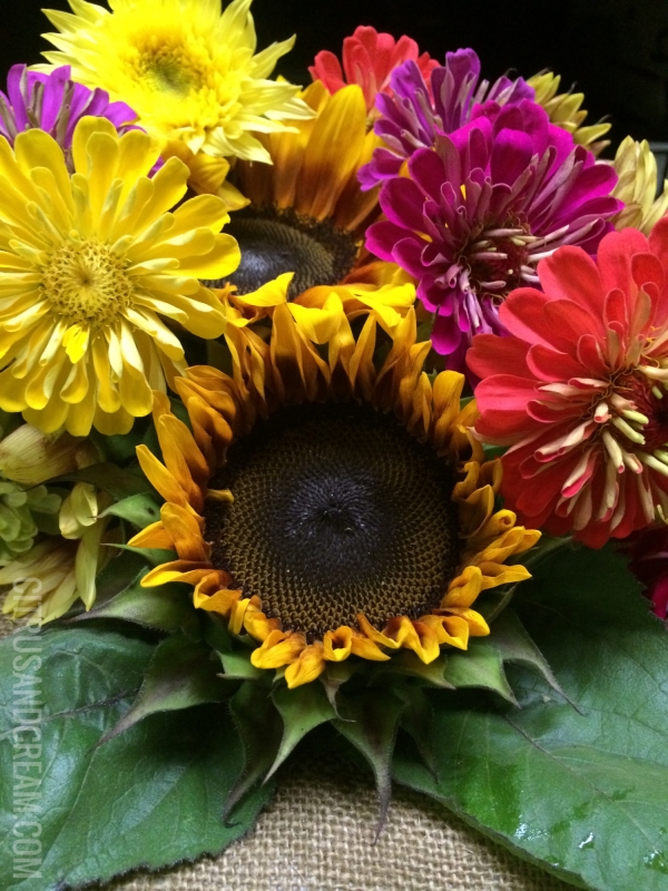 Sunflowers and Zinnias 2